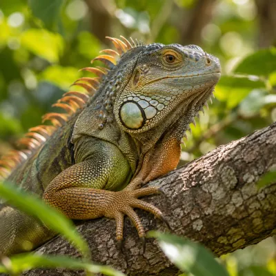 Una iguana sobre una rama entre vegetación tropical